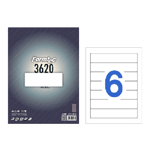 폼텍)대봉투용라벨(LS-3620/100매)