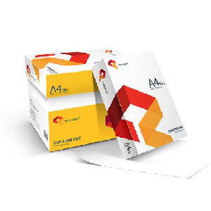 삼성 프리미엄 COPY 복사용지 A4/80g/2,500매