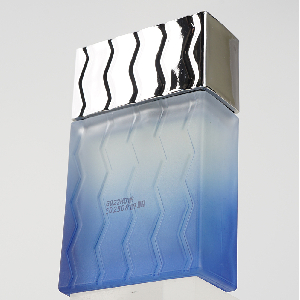 옴므 Blue 오드뚜왈렛 남성전용 포맨 향수 40ml