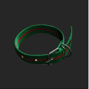 개목줄 PP 특대 30mm 초록 대형 중형 넥밴드 나일론 애완견 개줄 목걸이