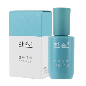 한율 피부고민부위 집중관리 박하 트러블 스팟 20ml